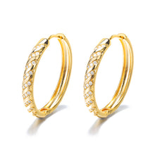 Load image into Gallery viewer, Stripe Crystal Hoops Gold