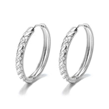 Load image into Gallery viewer, Stripe Crystal Hoops Silver