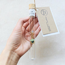 Load image into Gallery viewer, majestic eye locket bracelet