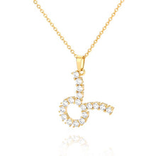 Load image into Gallery viewer, Zodiac Symbol Necklace 5-Taurus